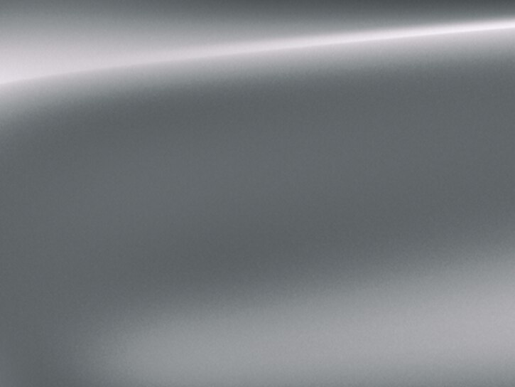 Gris Palladium (M)
